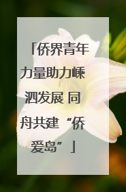 侨界青年力量助力嵊泗发展 同舟共建“侨爱岛”