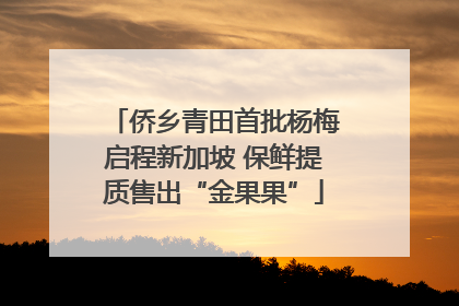 侨乡青田首批杨梅启程新加坡 保鲜提质售出“金果果”