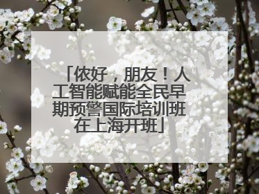 侬好，朋友！人工智能赋能全民早期预警国际培训班在上海开班