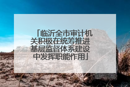 临沂全市审计机关积极在统筹推进基层监督体系建设中发挥职能作用