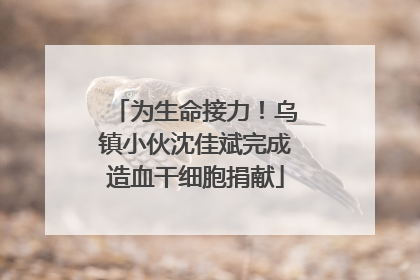 为生命接力！乌镇小伙沈佳斌完成造血干细胞捐献