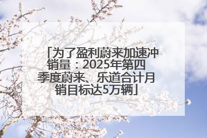 为了盈利蔚来加速冲销量：2025年第四季度蔚来、乐道合计月销目标达5万辆