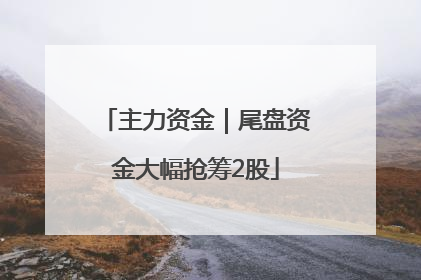 主力资金｜尾盘资金大幅抢筹2股