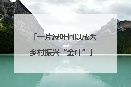 一片绿叶何以成为乡村振兴“金叶”