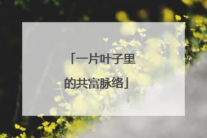 一片叶子里的共富脉络