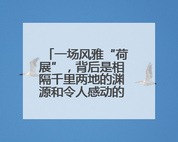 一场风雅“荷展”，背后是相隔千里两地的渊源和令人感动的历史人文情怀
