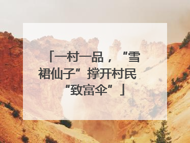 一村一品，“雪裙仙子”撑开村民“致富伞”
