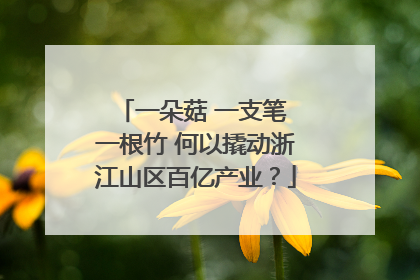 一朵菇 一支笔 一根竹 何以撬动浙江山区百亿产业？