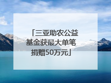 三亚助农公益基金获最大单笔捐赠50万元