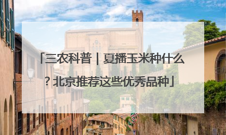 三农科普｜夏播玉米种什么？北京推荐这些优秀品种