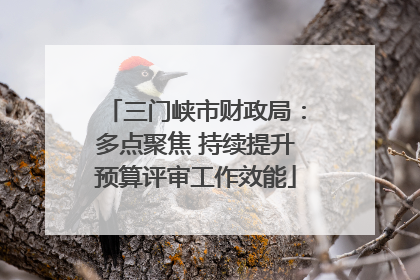 三门峡市财政局：多点聚焦 持续提升预算评审工作效能