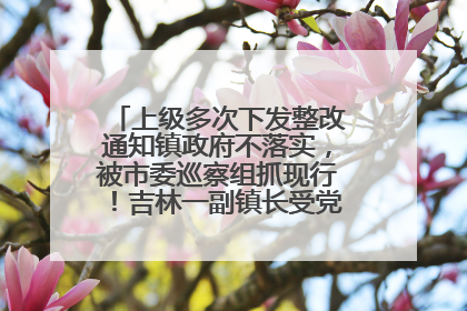 上级多次下发整改通知镇政府不落实，被市委巡察组抓现行！吉林一副镇长受党内警告处分