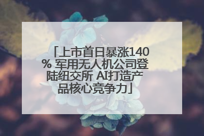 上市首日暴涨140% 军用无人机公司登陆纽交所 AI打造产品核心竞争力