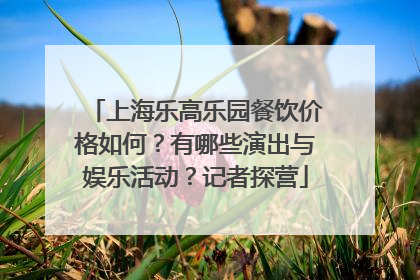 上海乐高乐园餐饮价格如何？有哪些演出与娱乐活动？记者探营