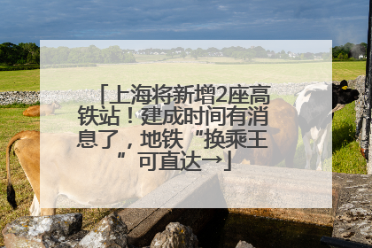 上海将新增2座高铁站！建成时间有消息了，地铁“换乘王”可直达→