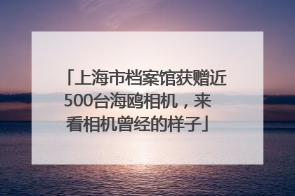 上海市档案馆获赠近500台海鸥相机，来看相机曾经的样子