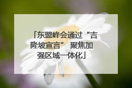 东盟峰会通过“吉隆坡宣言” 聚焦加强区域一体化