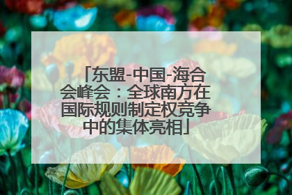东盟-中国-海合会峰会：全球南方在国际规则制定权竞争中的集体亮相