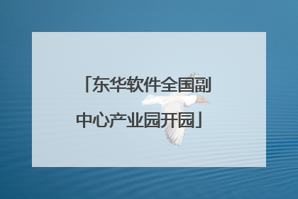 东华软件全国副中心产业园开园