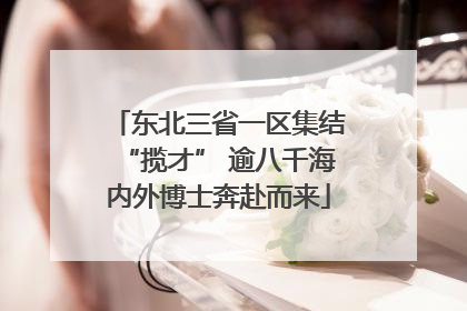 东北三省一区集结“揽才” 逾八千海内外博士奔赴而来