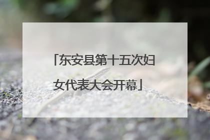 东安县第十五次妇女代表大会开幕