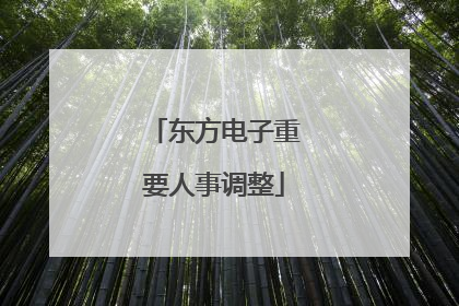 东方电子重要人事调整
