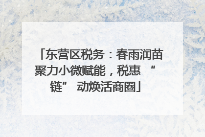 东营区税务：春雨润苗聚力小微赋能，税惠 “链” 动焕活商圈