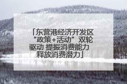 东营港经济开发区“政策+活动”双轮驱动 提振消费能力 释放消费潜力