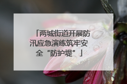 两城街道开展防汛应急演练筑牢安全“防护堤”