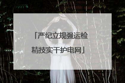 严纪立规强运检 精技实干护电网