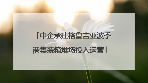 中企承建格鲁吉亚波季港集装箱堆场投入运营