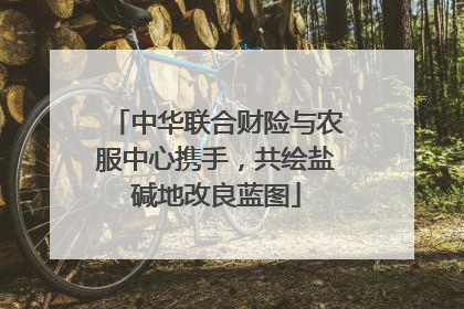 中华联合财险与农服中心携手，共绘盐碱地改良蓝图