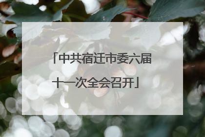 中共宿迁市委六届十一次全会召开