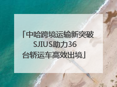 中哈跨境运输新突破 SJIUS助力36台轿运车高效出境