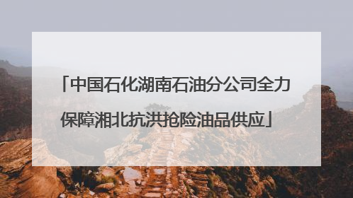 中国石化湖南石油分公司全力保障湘北抗洪抢险油品供应