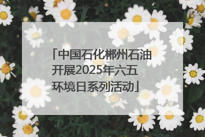 中国石化郴州石油开展2025年六五环境日系列活动