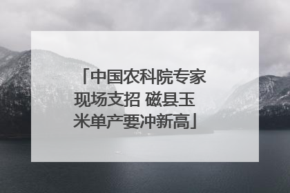 中国农科院专家现场支招 磁县玉米单产要冲新高