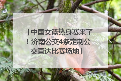 中国女篮热身赛来了！济南公交4条定制公交直达比赛场地