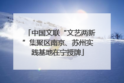 中国文联“文艺两新”集聚区南京、苏州实践基地在宁授牌