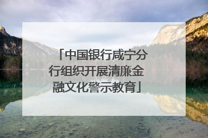 中国银行咸宁分行组织开展清廉金融文化警示教育