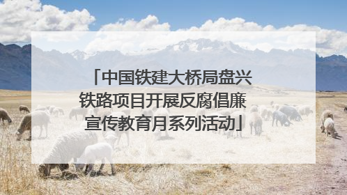 中国铁建大桥局盘兴铁路项目开展反腐倡廉宣传教育月系列活动