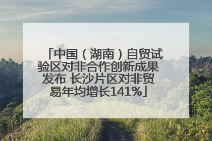 中国（湖南）自贸试验区对非合作创新成果发布 长沙片区对非贸易年均增长141%