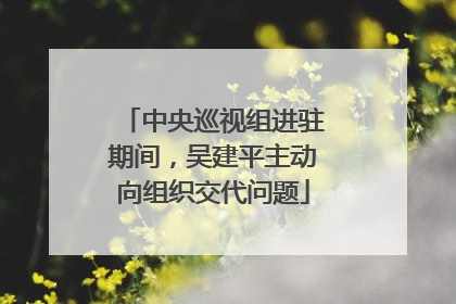 中央巡视组进驻期间，吴建平主动向组织交代问题