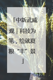 中新武威观｜科技为笔，绘就夏粮“丰”景