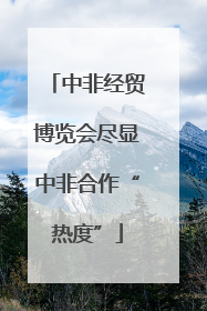 中非经贸博览会尽显中非合作“热度”