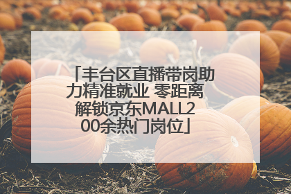 丰台区直播带岗助力精准就业 零距离解锁京东MALL200余热门岗位