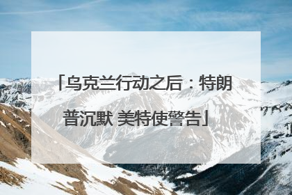 乌克兰行动之后：特朗普沉默 美特使警告