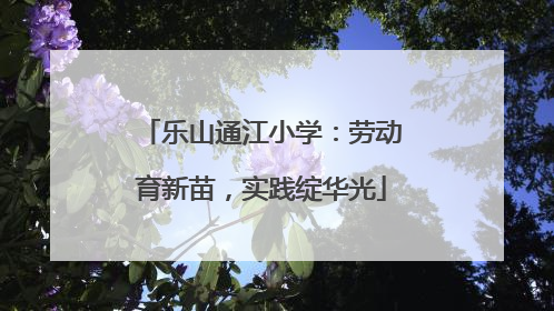 乐山通江小学：劳动育新苗，实践绽华光