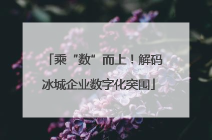乘“数”而上！解码冰城企业数字化突围