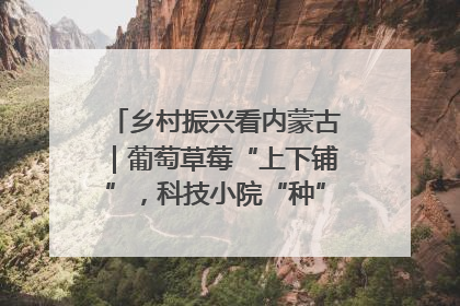 乡村振兴看内蒙古｜葡萄草莓“上下铺”，科技小院“种”出三倍效益